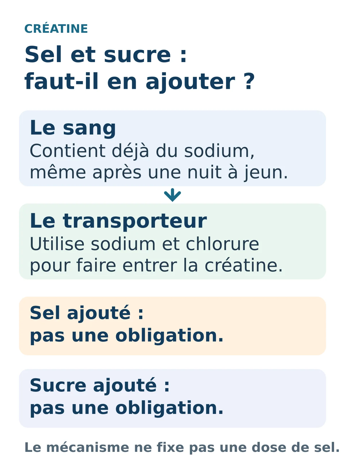 Le sodium déjà présent participe au transport de la créatine. L’ajout de sel ou de sucre n’est pas obligatoire.
